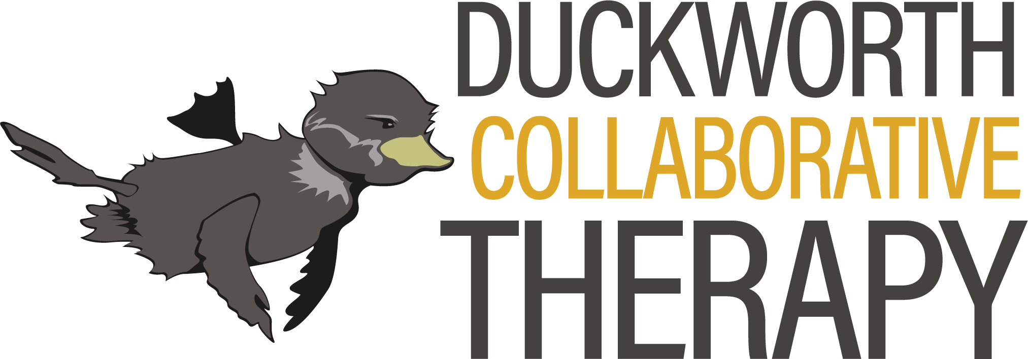 Duckworth Collaborative Therapy